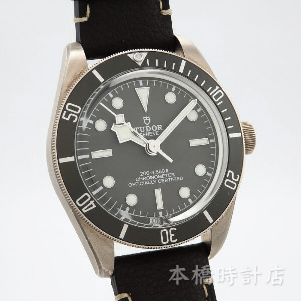 TUDOR　チューダー　79010SG　ブラックベイ フィフティ-エイト 925 - 画像 (10)