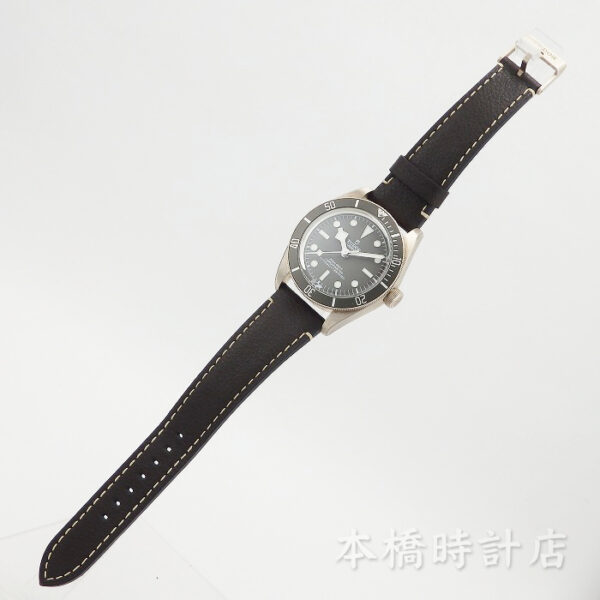 TUDOR　チューダー　79010SG　ブラックベイ フィフティ-エイト 925 - 画像 (6)