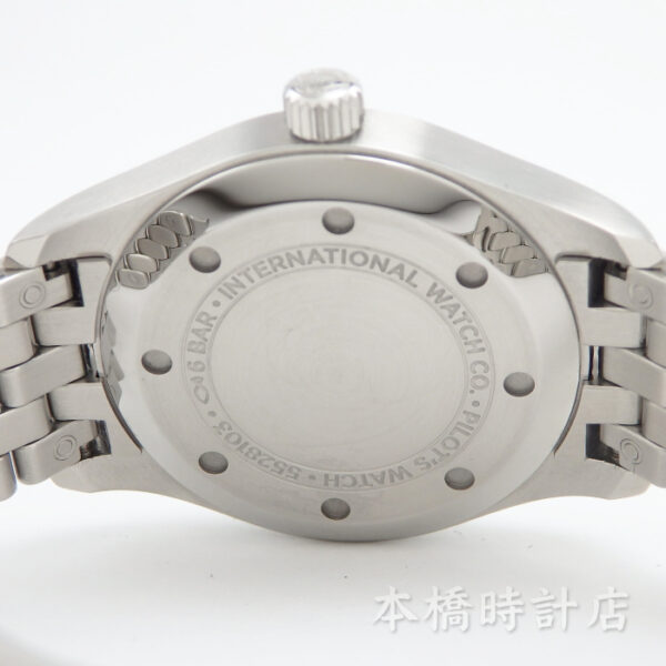 IWCパイロットウォッチ36ｍｍ　IW324006 - 画像 (11)