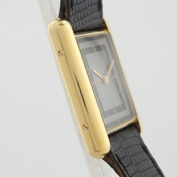 SV　CARTIER　マストタクLM - 画像 (5)
