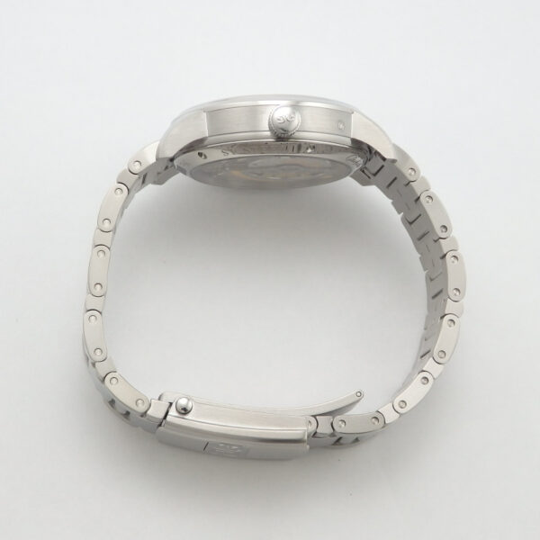 Glashütte Original　パノマティック　ルナ　1-90-02-42-32-24 - 画像 (8)